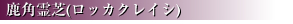 鹿角霊芝