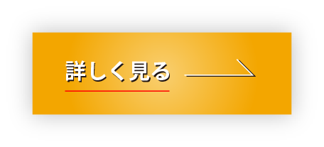 詳しく見る