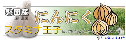 磐田産にんにくスタミナ王子